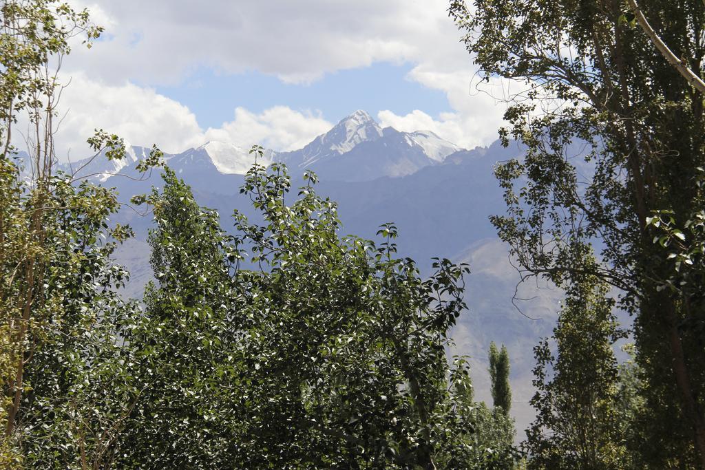 Mentokling Guest House&Garden Restaurant Leh Exterior foto